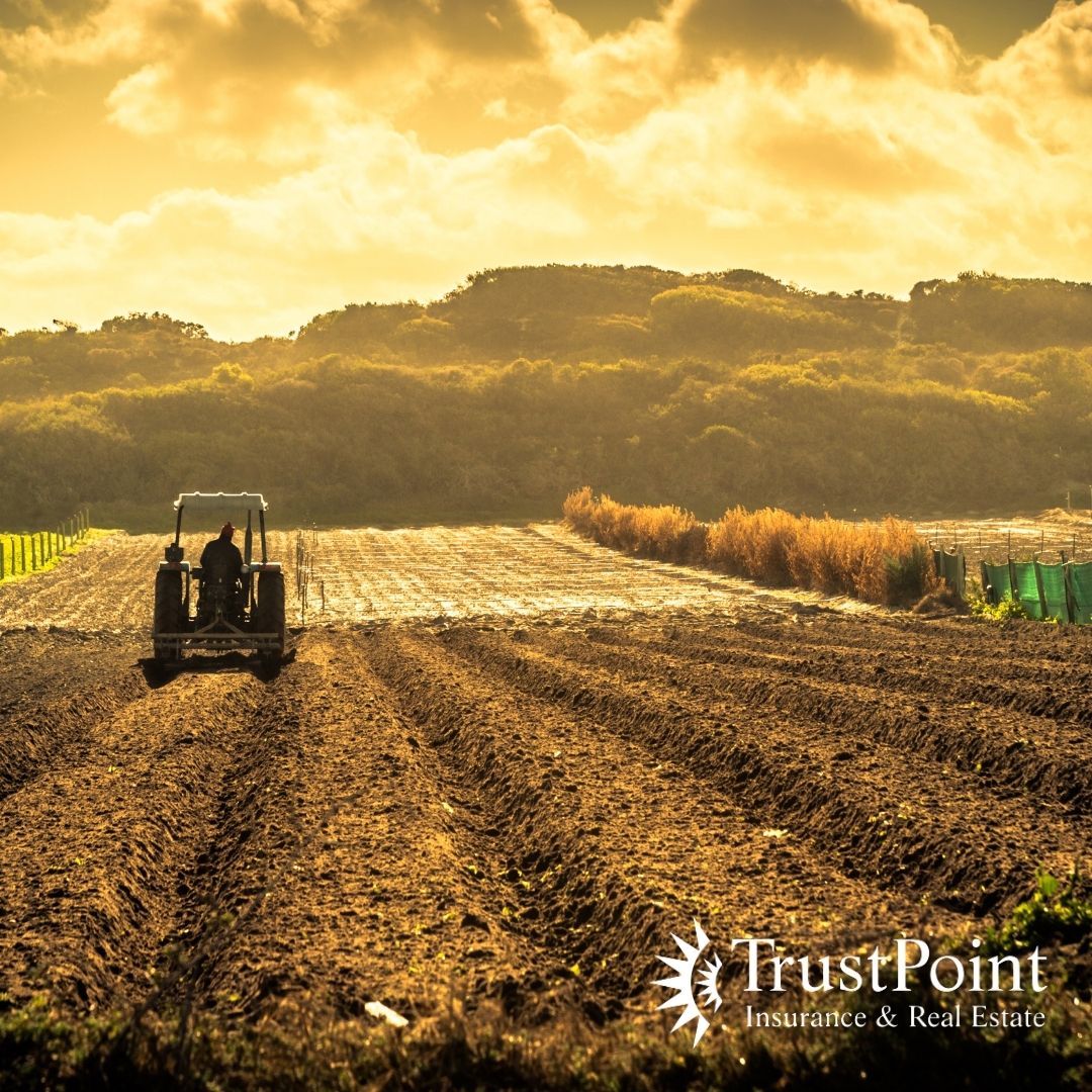 Trustpoint Insurance Celebrating National Ag Day: Recognizing the Backbone of Our Nation's ...